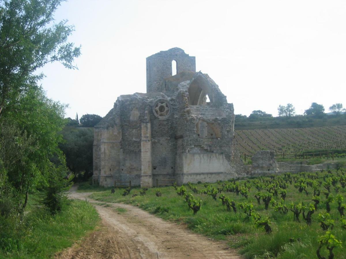 Maison De La Fontaine Embres-et-Castelmaure Zewnętrze zdjęcie
